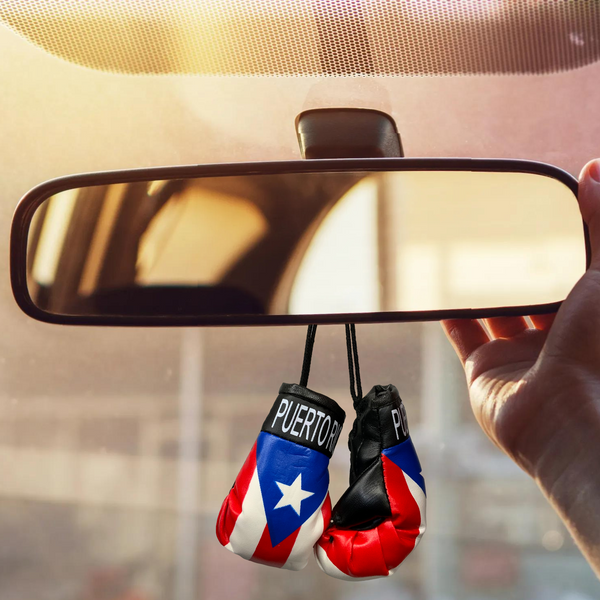 Boxing Gloves for Car - Latinxs Fuzion Gift Shop - Latinxs Infuzion Gift Shop