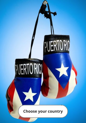 Puerto Rico Flag Necklace Turtle