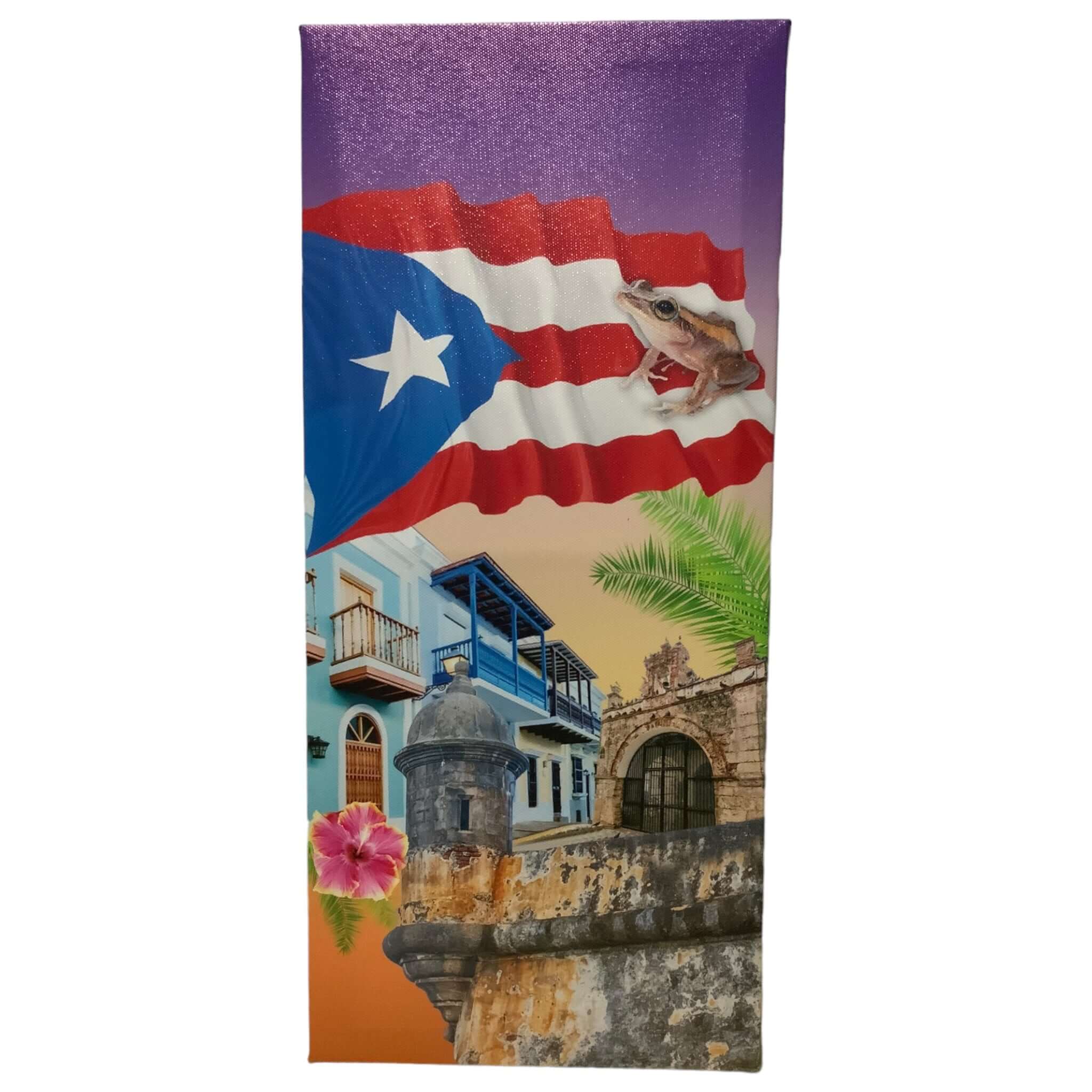 PR Art on Canvas Print - Latinxs Fuzion Gift Shop