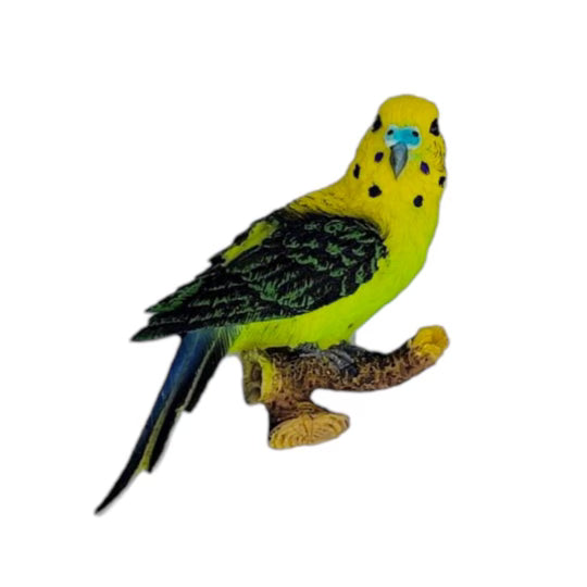 Colorful Parrot Magnet