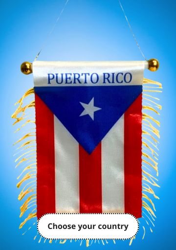 Puerto Rico Flag Necklace Turtle
